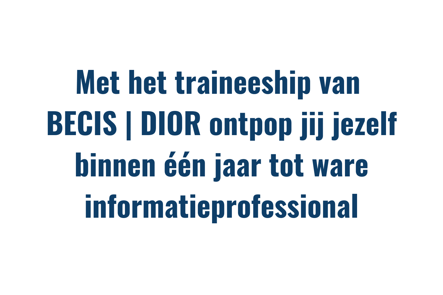 Meld je nu aan voor ons traineeship! (26)